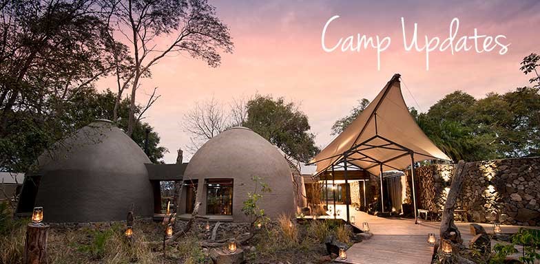 CAMP-UPDATES