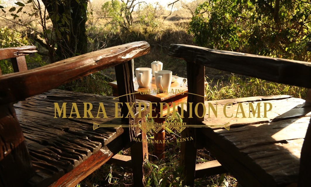 MEC-Mailer-Option-3-1