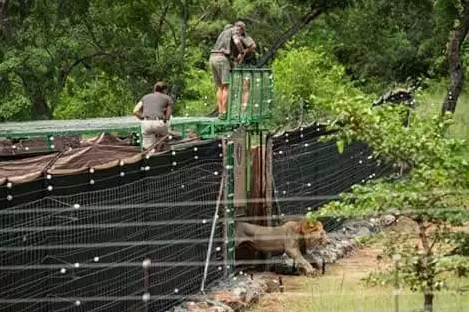 Screen-Shot-2018-03-06-at-3.42.18-PM