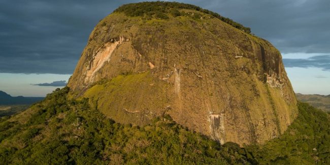 Secret-rainforest-at-the-heart-of-a-volcano-discovered-in-Mozambique-800×400