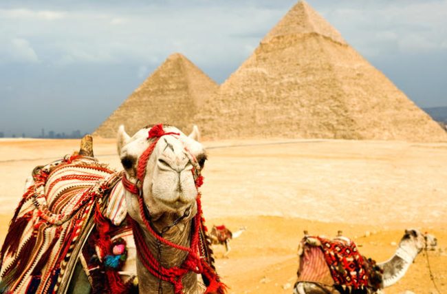 shutterstock_122074027