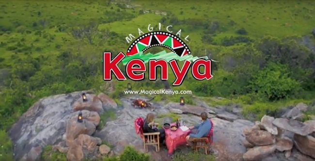 Screen-Shot-2018-08-14-at-8.48.04-PM