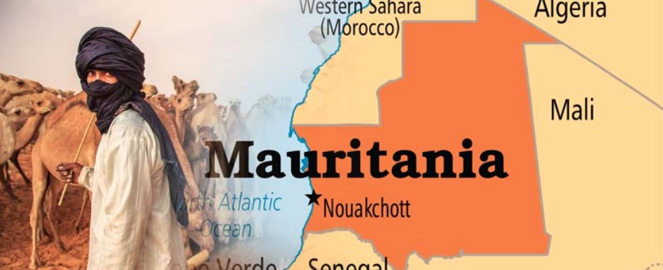 Screen-Shot-2018-08-21-at-11.31.15-AM