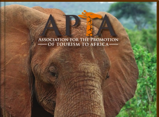 Screen-Shot-2018-08-27-at-11.22.35-PM