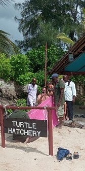 8-Turtle-Hatchery-Season-II