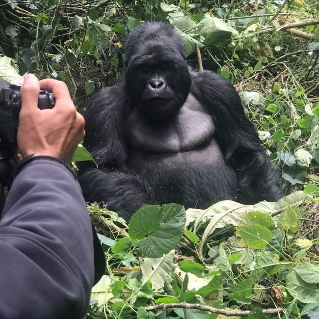 28575694_614644942220355_5120412044500423823_n