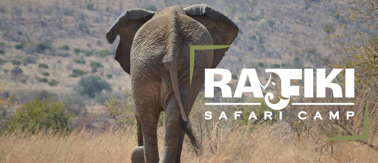 41667389_1030864160451594_6265489568326221824_o