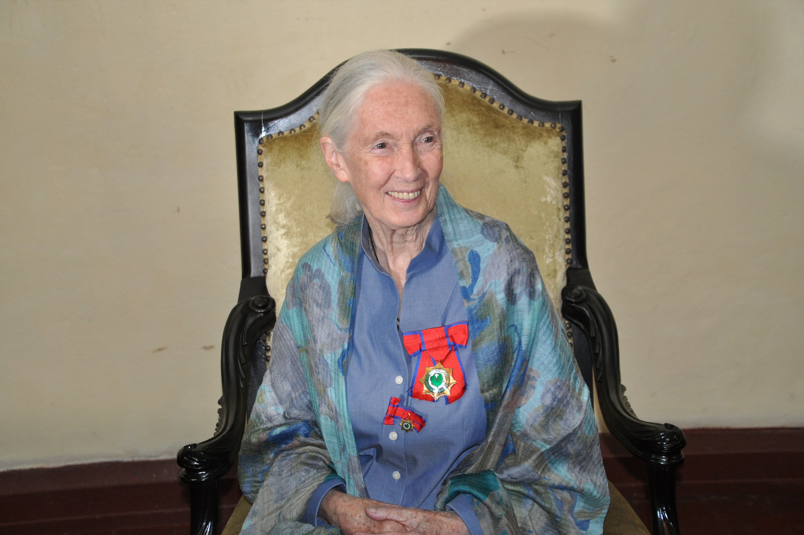 Screen-Shot-2019-03-06-at-9.38.34-PM