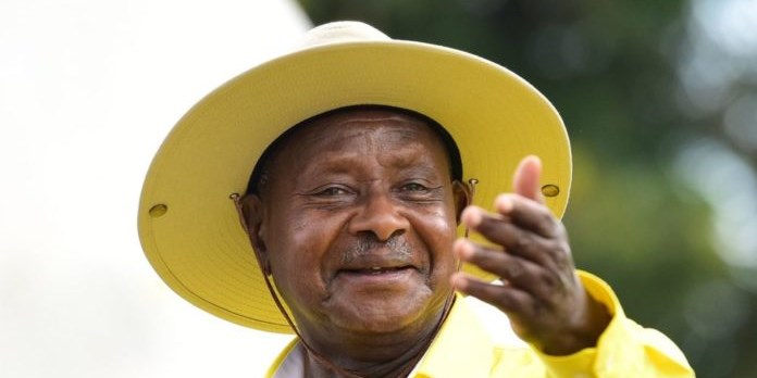 Uganda-s-approves-Wildlife-Act-800×400