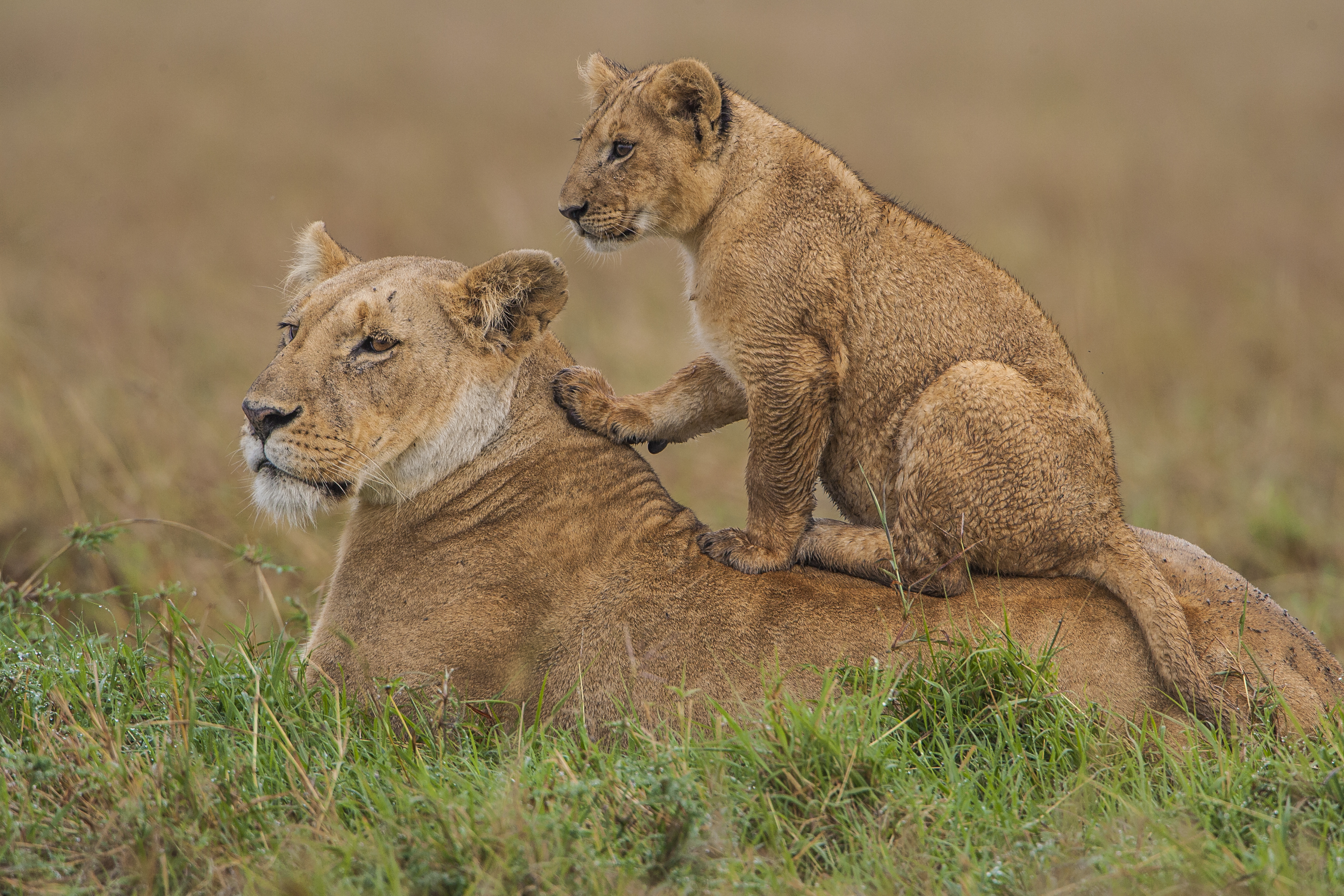 050914-134902-JR8K7167