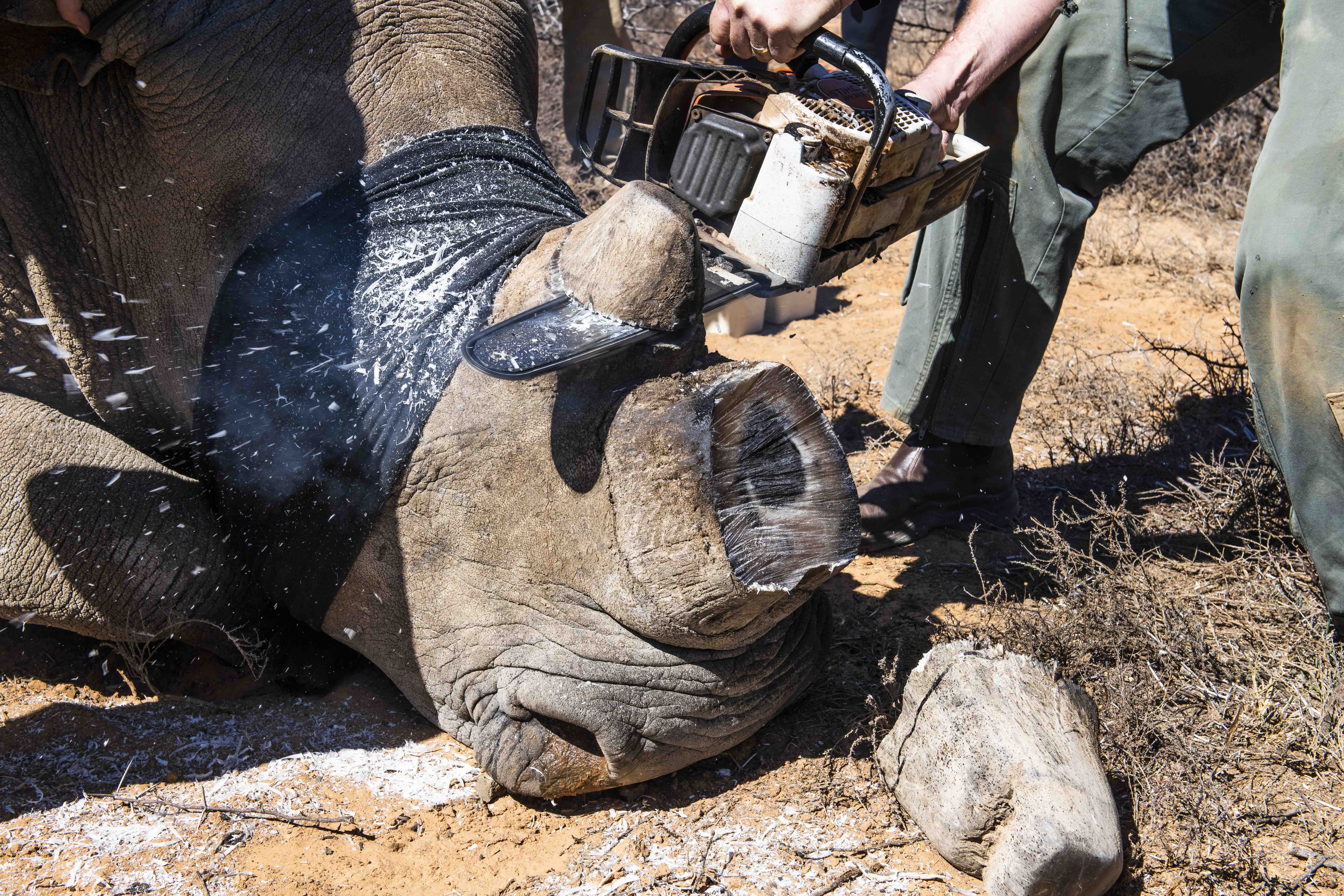 peter_chadwick__DSC4879