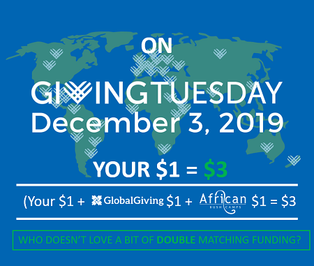 Giving-Tuesday
