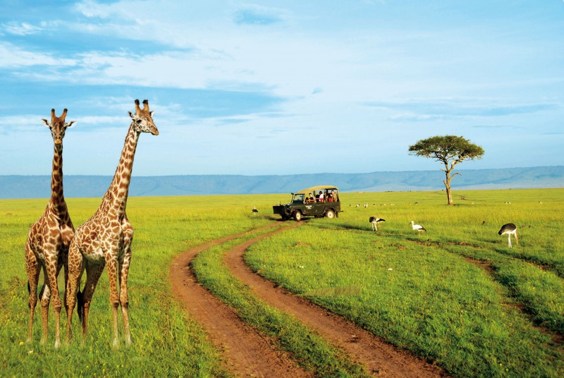 tourist-on-a-kenya-safari-1