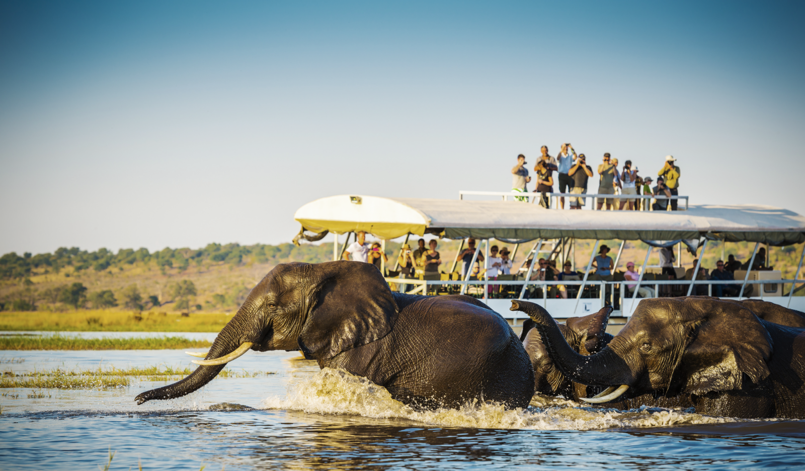 canva-photo-editor-2