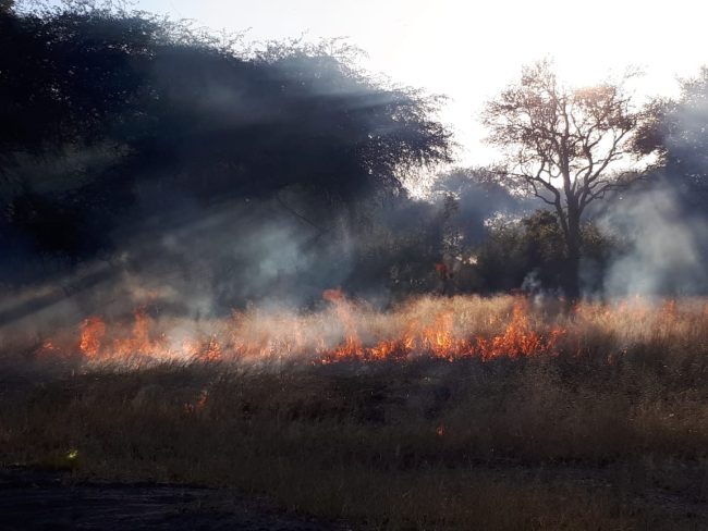 Burning-firebreaks-24May20-2