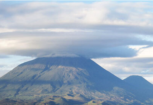 Screen-Shot-2020-08-05-at-9.55.31-AM