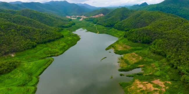 shutterstock_446843371-1-800×400