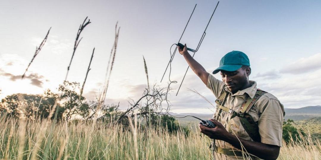 sibusisomathejoshreidmedia3