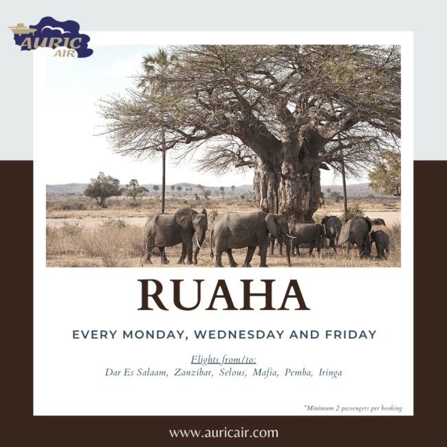 Ruaha-National-Park