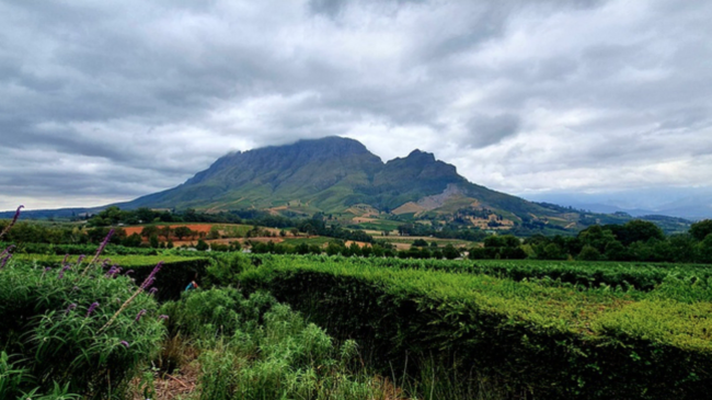 Screen-Shot-2020-09-02-at-9.33.41-AM