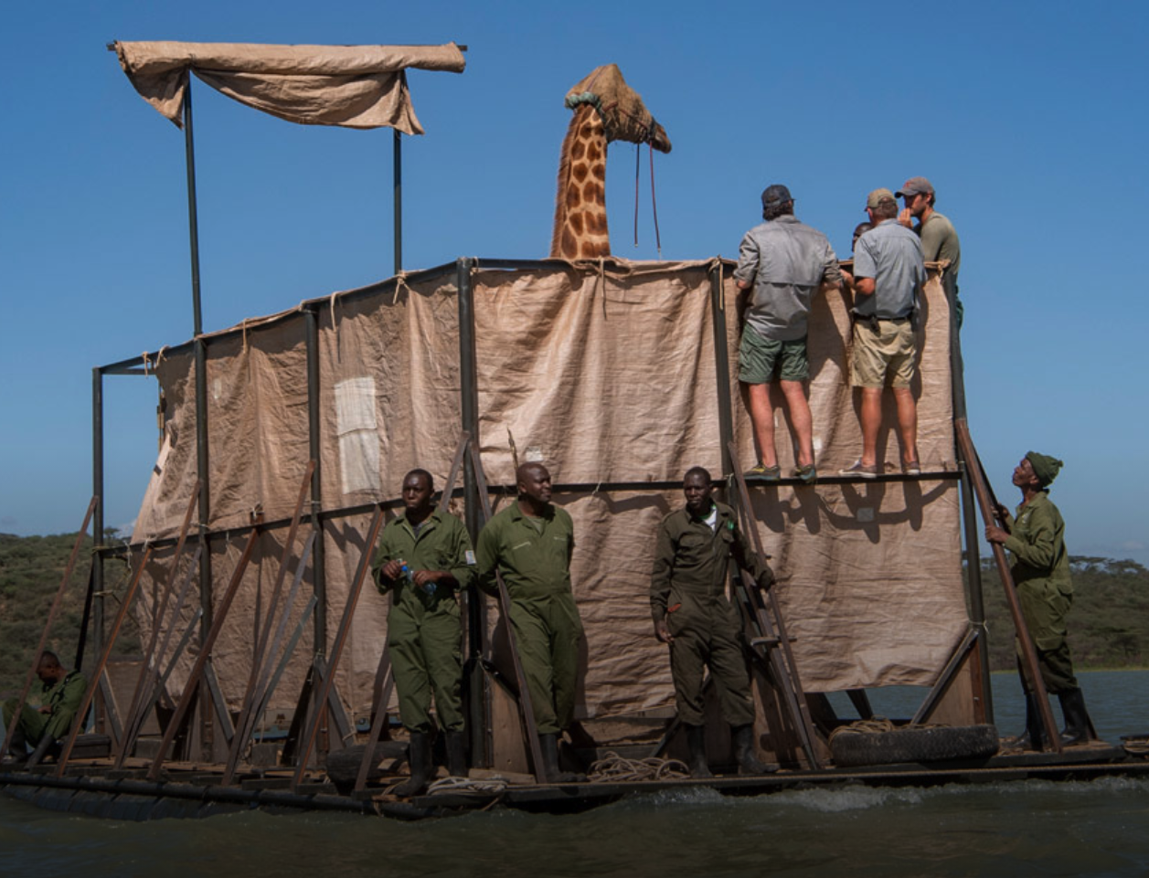 Screen-Shot-2020-12-28-at-9.40.08-AM