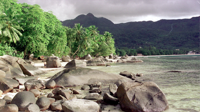 Screen-Shot-2021-08-08-at-9.38.43-PM