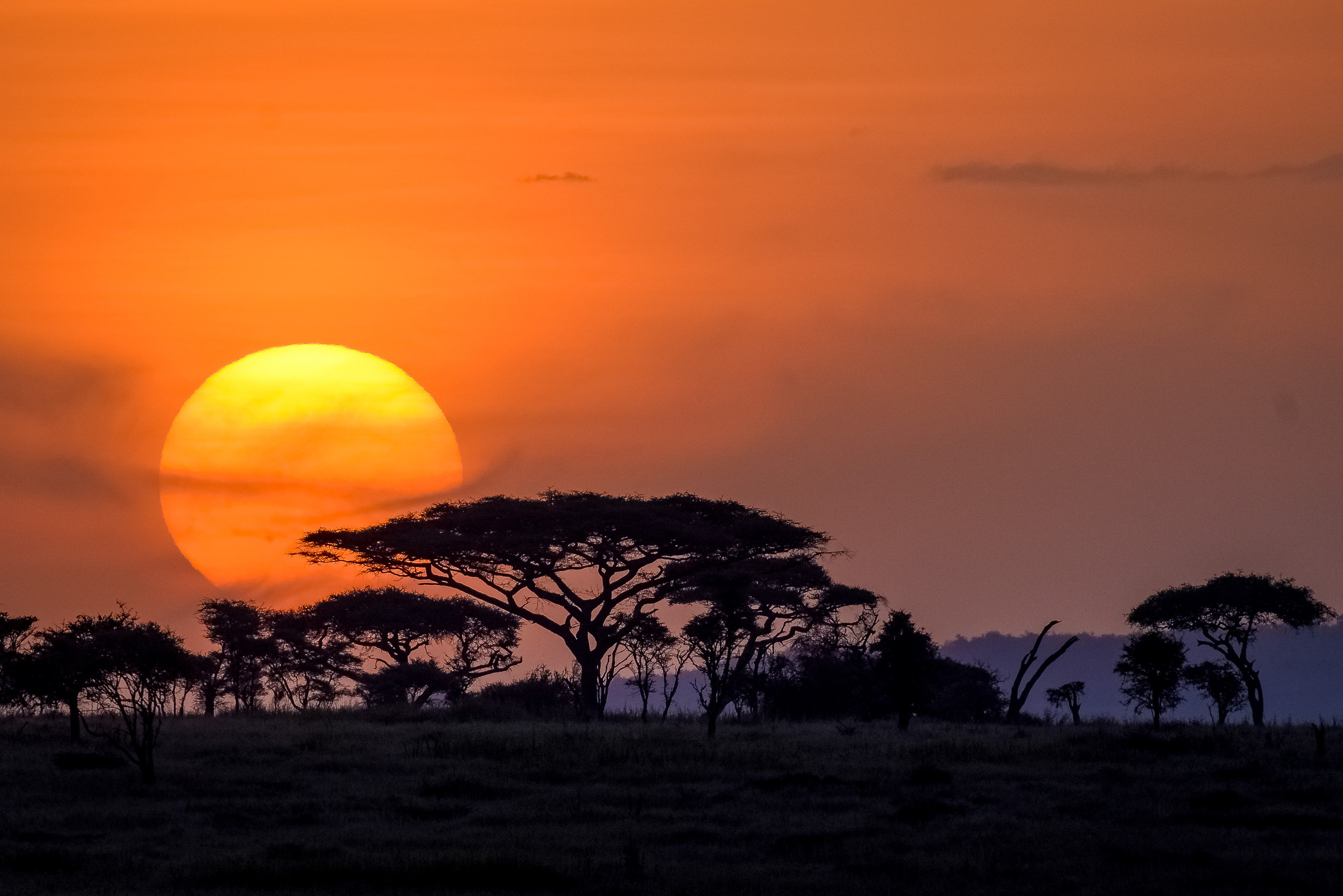 Serengeti_sunset-1001-1