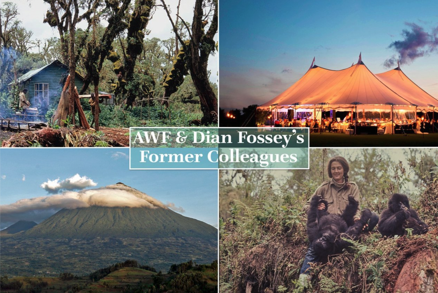 Screen-Shot-2022-03-10-at-1.52.28-PM