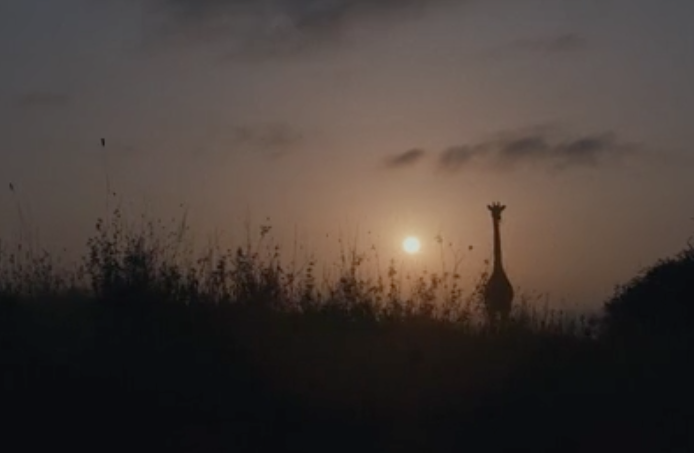 Screen-Shot-2022-04-07-at-3.33.25-AM