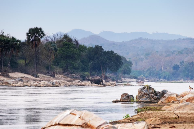 Screen-Shot-2022-04-20-at-5.15.49-PM