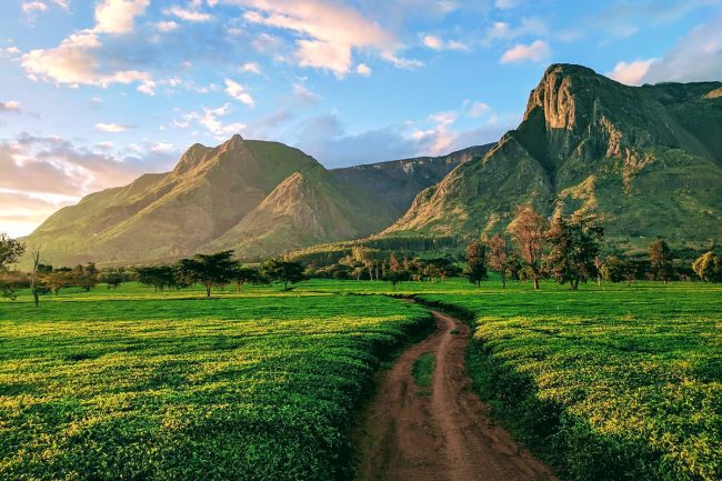 malawi-jason-grunstra-GettyImages-735999721-rfc