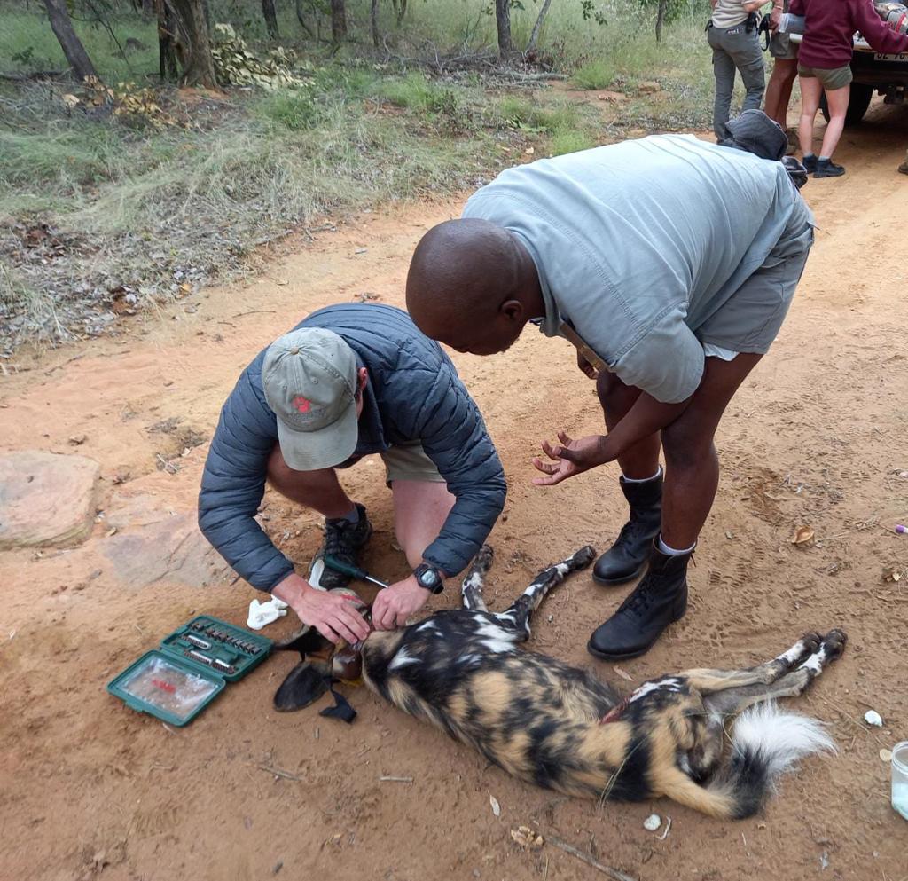 PHOTO-2022-05-10-16-55-16