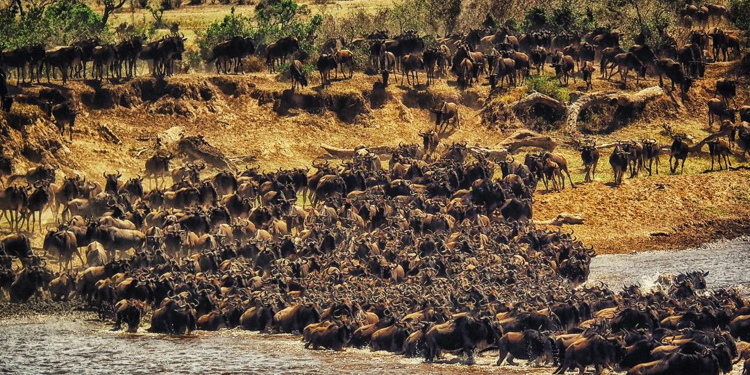 rohan-reddy-magqgwvek7q-unsplash_0