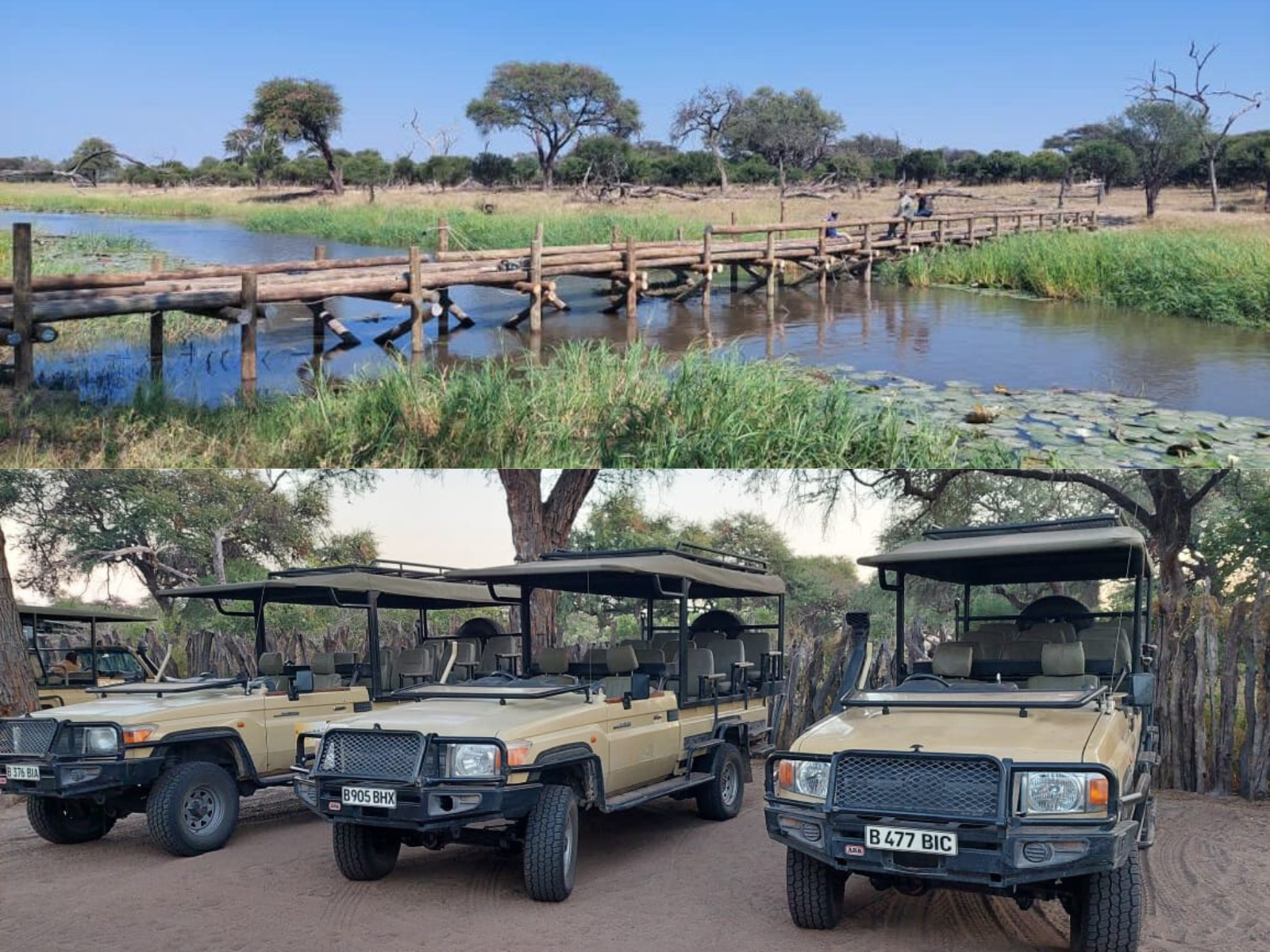 Mogotlho-Safari-Lodge