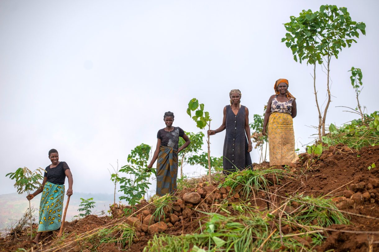 14bccb_d6eb233b821f40d8be848ca66d4495fcmv2-1220×8122