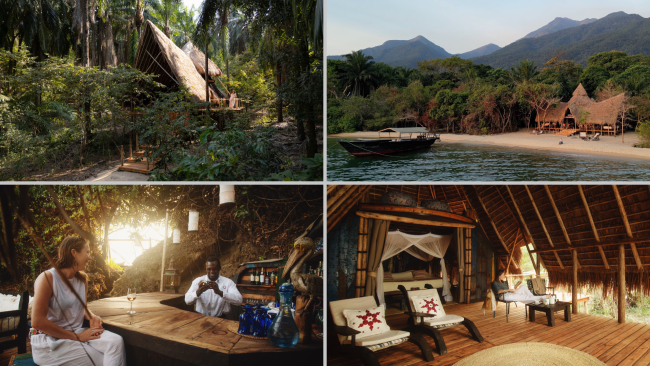 Greystoke-ATTA-Press-Release