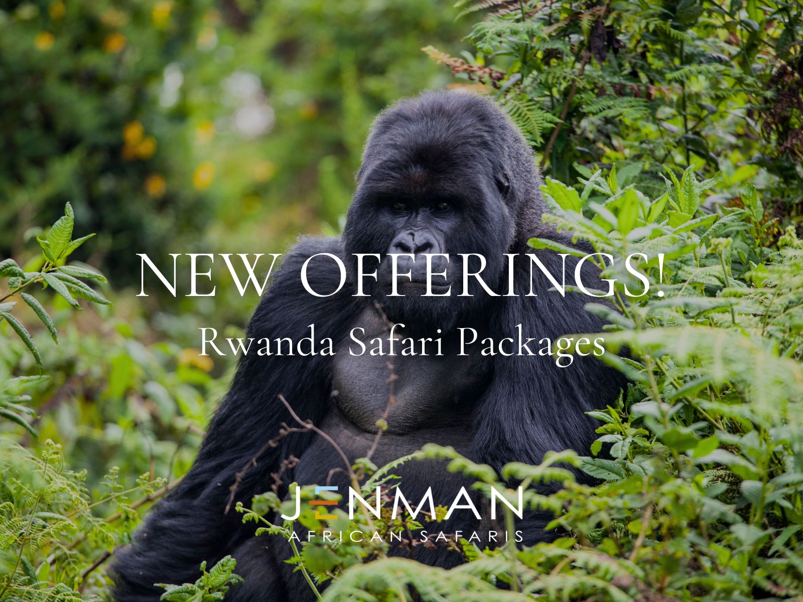 AttaApta-cover-image