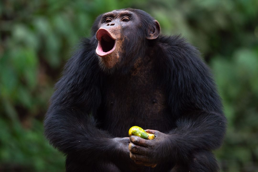 0b1bde38-8a5c-ca81-3350-324a67b042a5