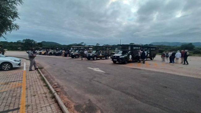 header-vehicles-at-malelane-gate-on-jan-21-source-sanparks