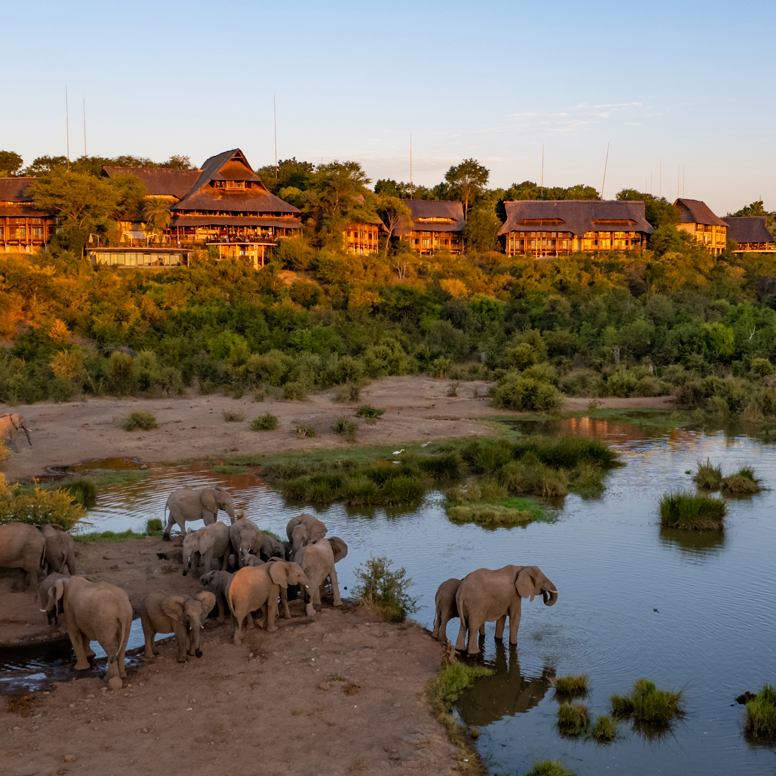 Elephants-at-the-waterhole-at-Victoria-Falls-Safari-Lodge