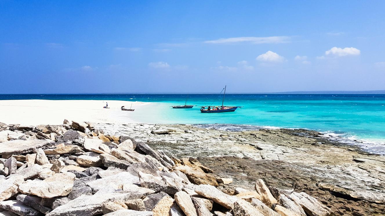 dimitry-b-twv8kwuiejk-unsplash