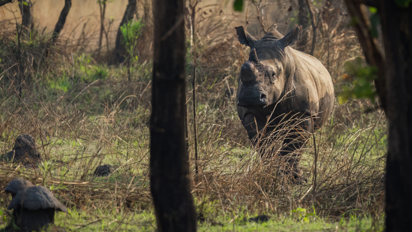 header-screenshot-2026-03-16-100743