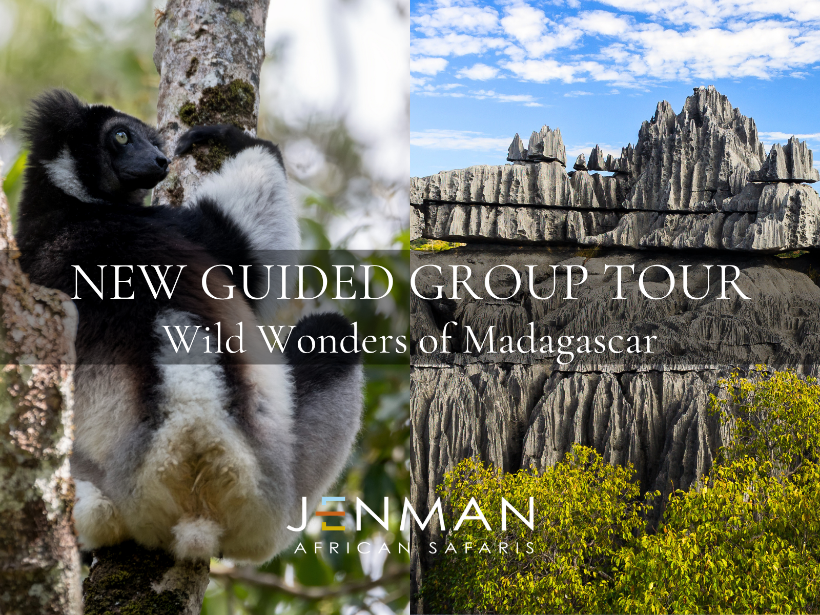 Jenman African Safaris New Wild Wonders of Madagascar Guided Group Tour