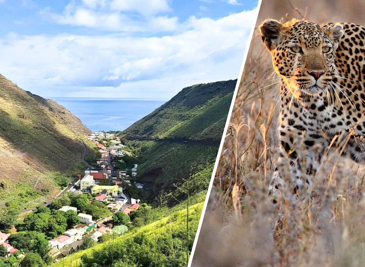 Cape-Town-Saint-Helena-and-Kruger-NEW-Tailor-made-Tour