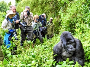 Pearl of Africa Experiences Launches New Wildlife, Cultural and Diaspora Travel Experiences in Uganda