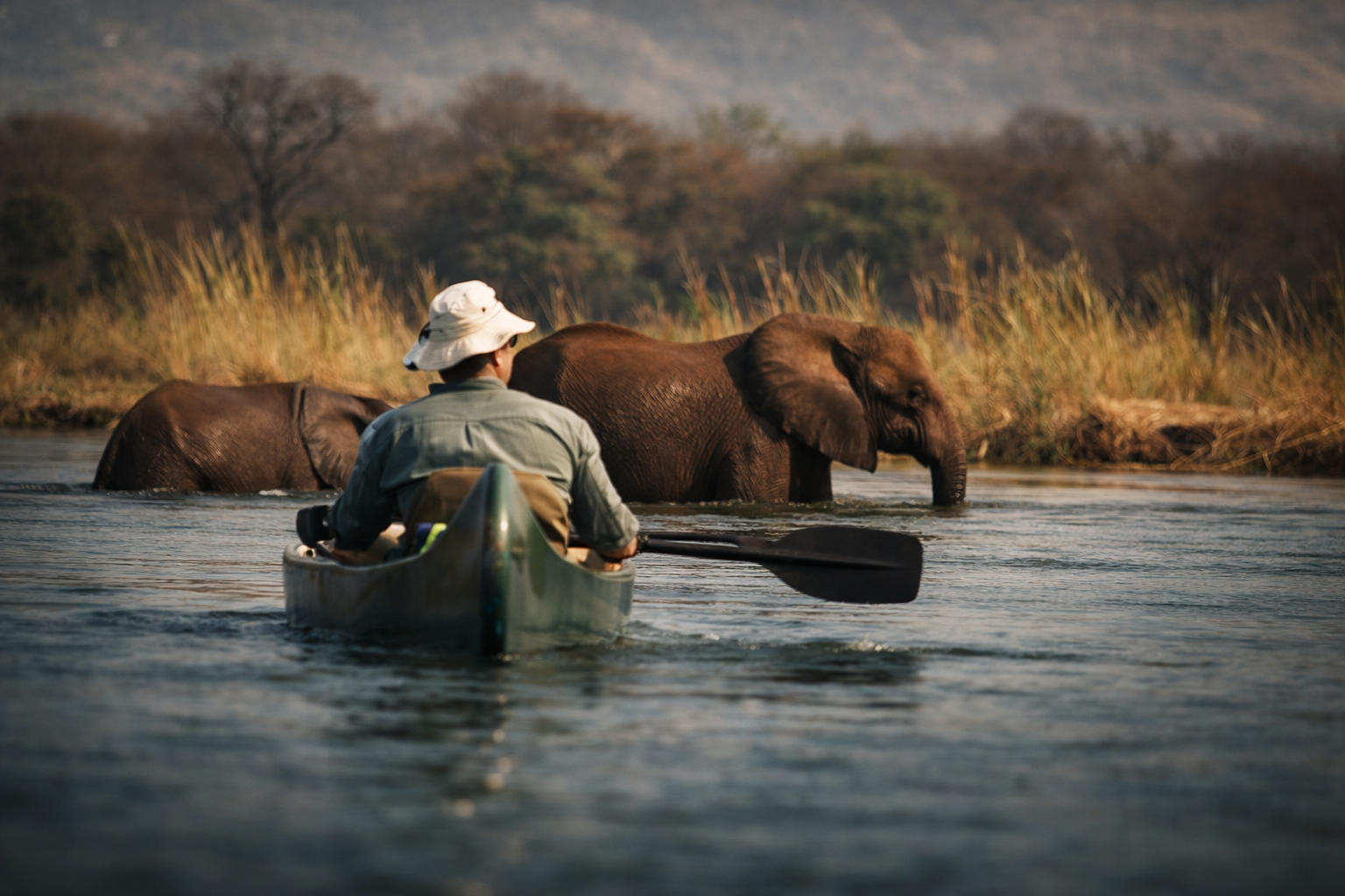 Why Mana Pools Is Reclaiming Its Place on the Safari Map