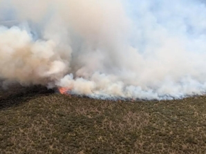 Mount Kenya Wildfire Largely Contained