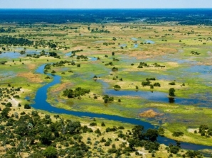 Botswana’s High-water Year Shifts Safari Balance
