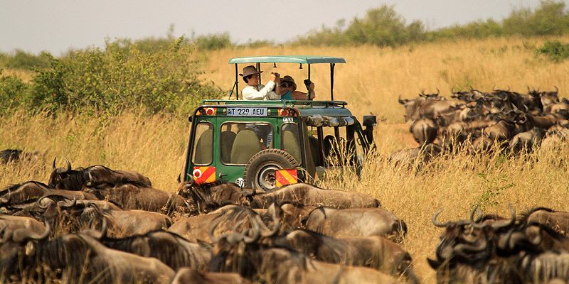 Tanzania Launches Landmark Private Sector Led Wildlife Investment Body to Reshape Conservation and Tourism